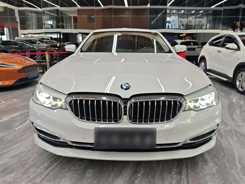 2019 BMW 5 Series 530Li xDrive Luxury Package — миниатюра 3