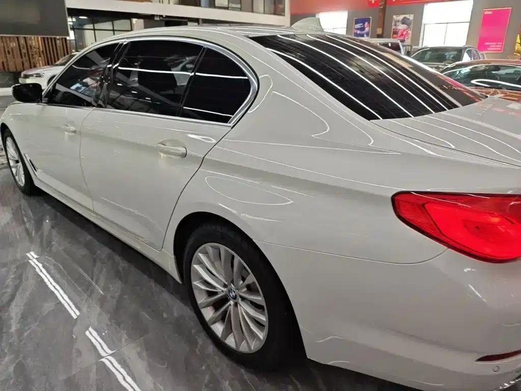 2019 BMW 5 Series 530Li xDrive Luxury Package — миниатюра 5