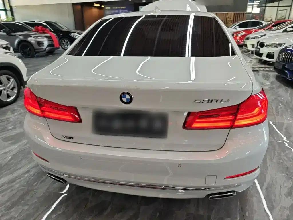 2019 BMW 5 Series 530Li xDrive Luxury Package — миниатюра 6
