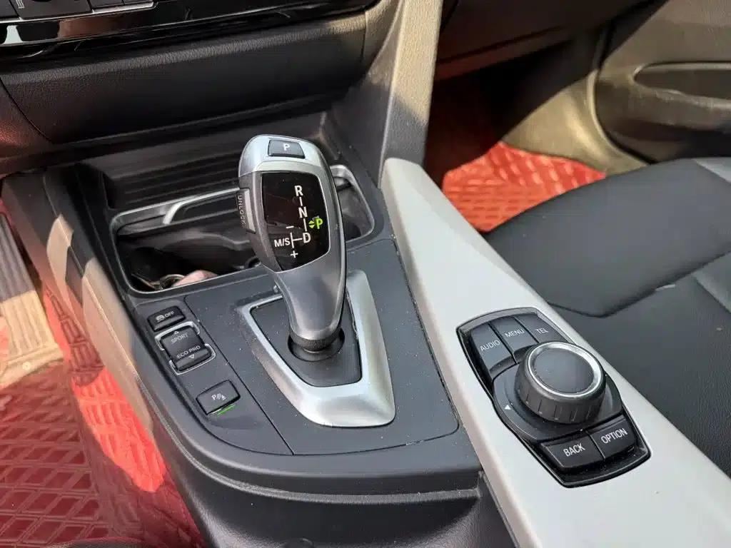 2016 BMW 3 Series 320Li Progressive — миниатюра 9