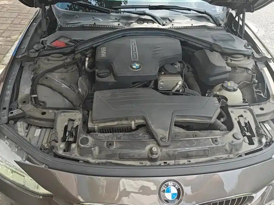 2014 BMW 3 Series 320Li Luxury Design Package — миниатюра 10