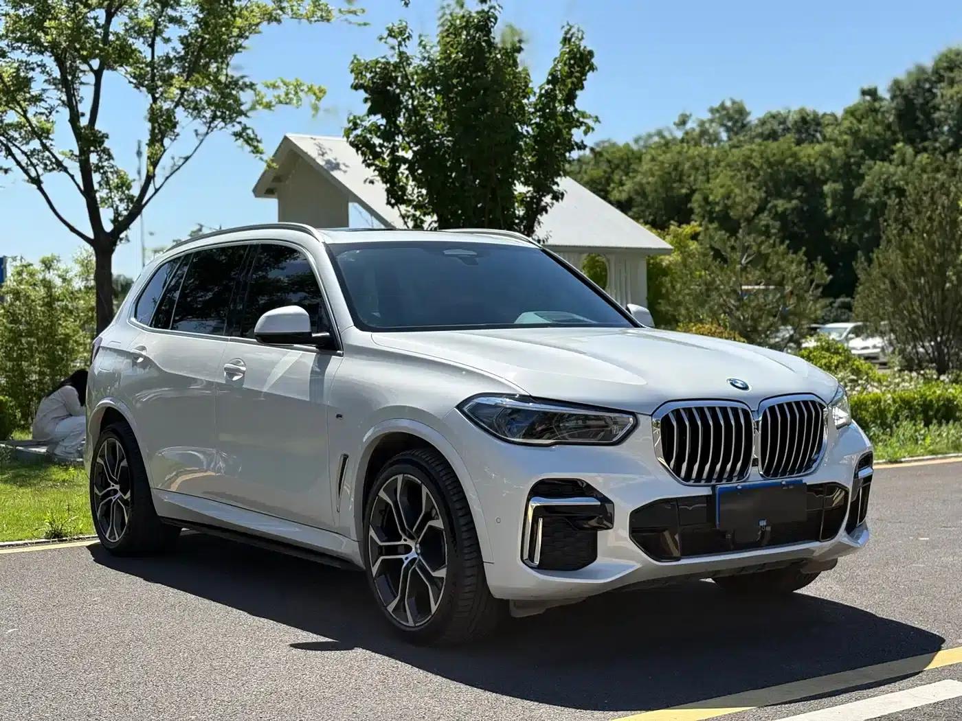BMW X5 2022 xDrive 40Li Luxury M Sport Package — миниатюра 3