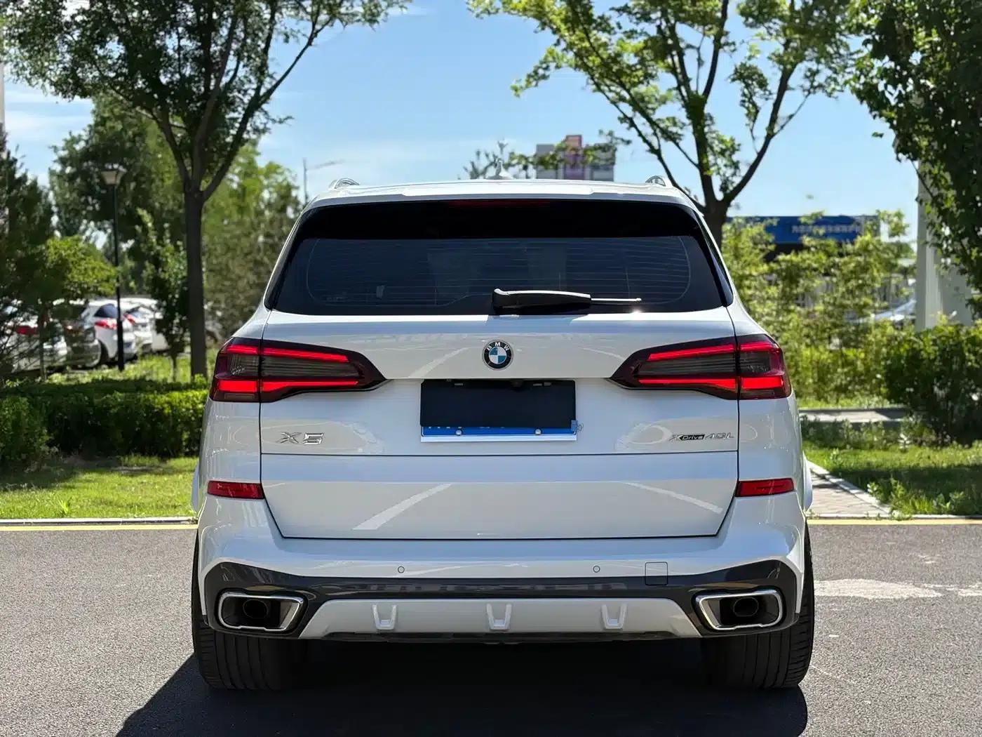BMW X5 2022 xDrive 40Li Luxury M Sport Package — миниатюра 6