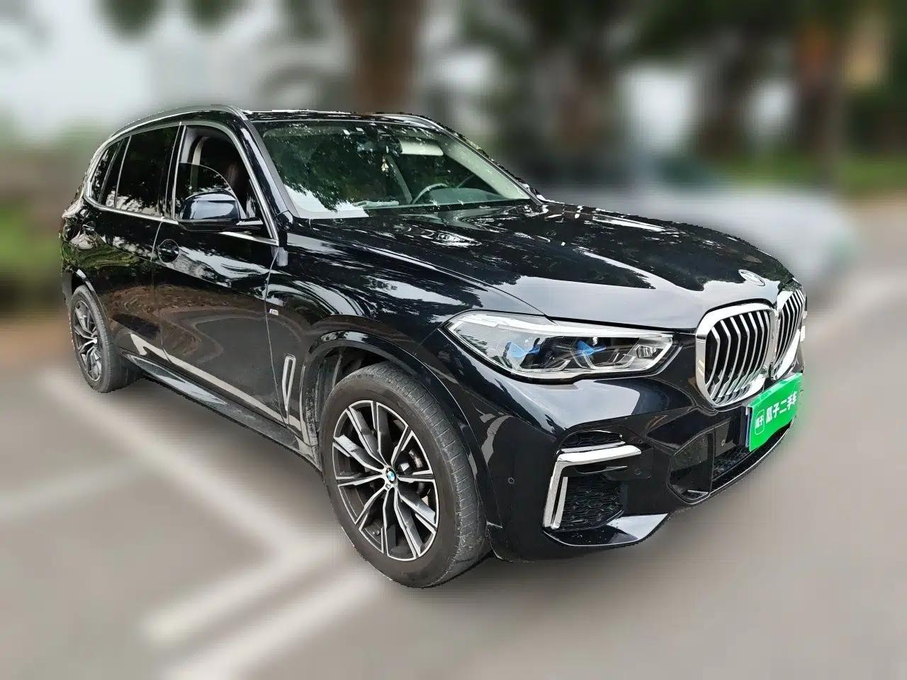 BMW X5 2022 Restyled xDrive 30Li Luxury Version M Sport Package — миниатюра 3