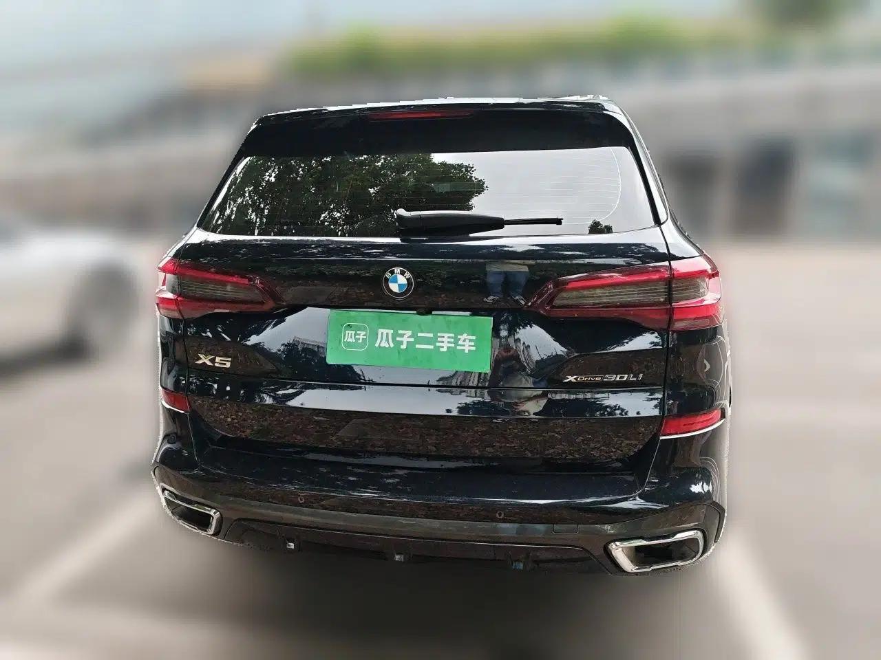 BMW X5 2022 Restyled xDrive 30Li Luxury Version M Sport Package — миниатюра 5