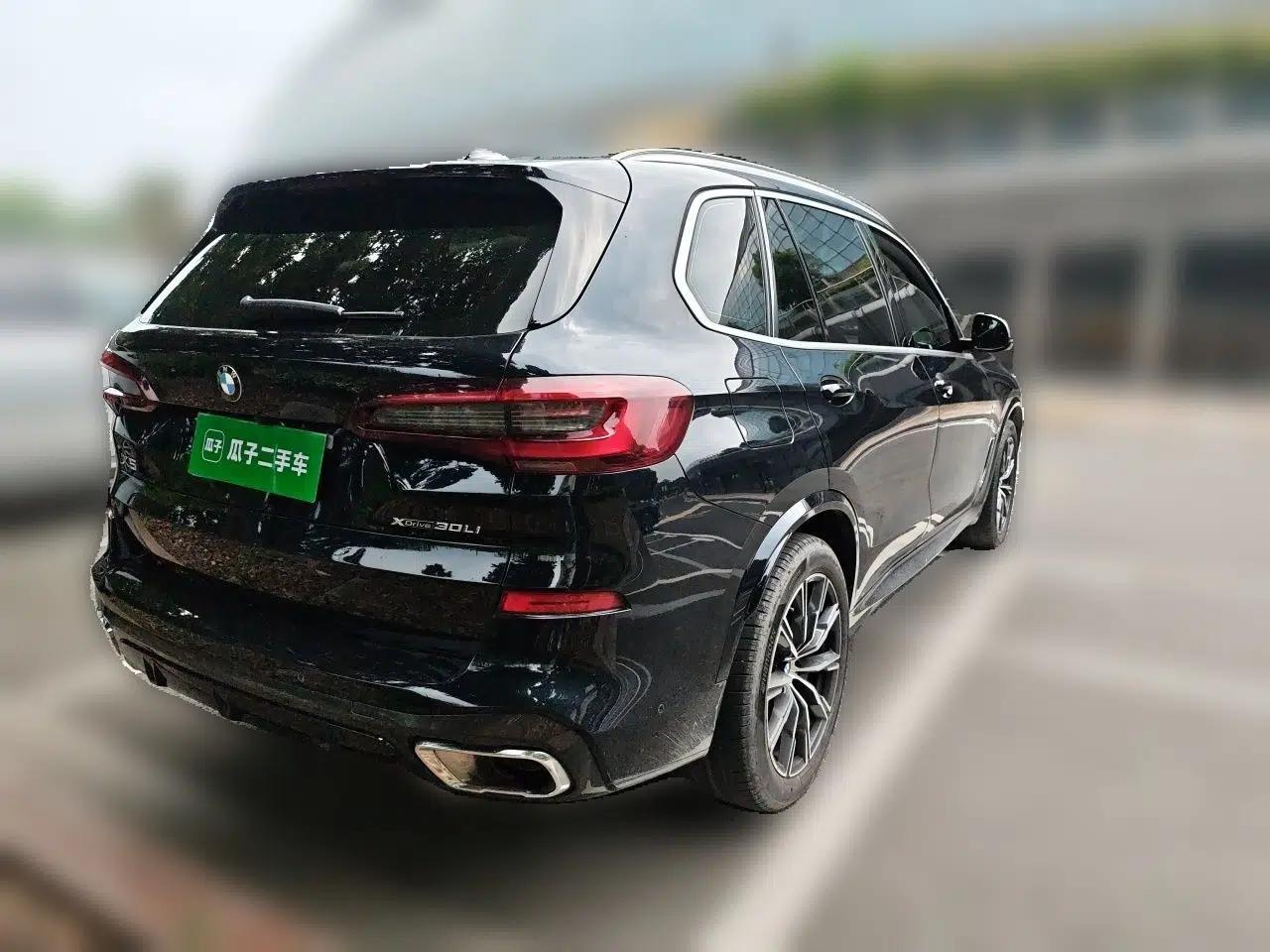 BMW X5 2022 Restyled xDrive 30Li Luxury Version M Sport Package — миниатюра 6