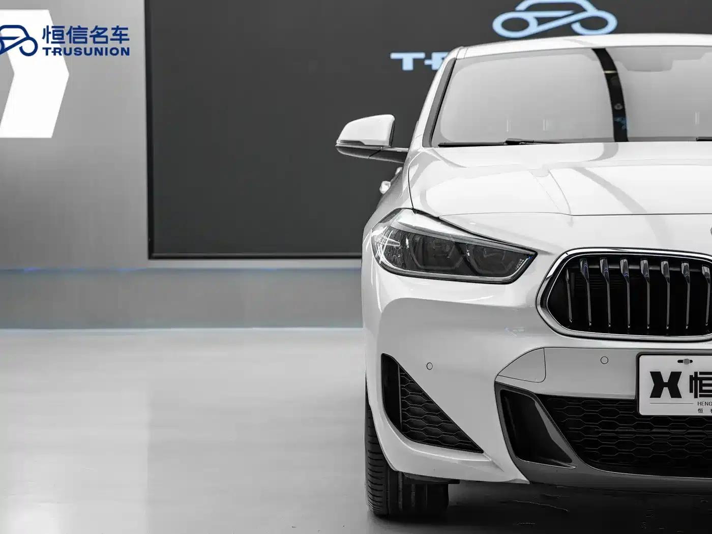 BMW X2 2020 sDrive25i Leading M Sport Package — миниатюра 10