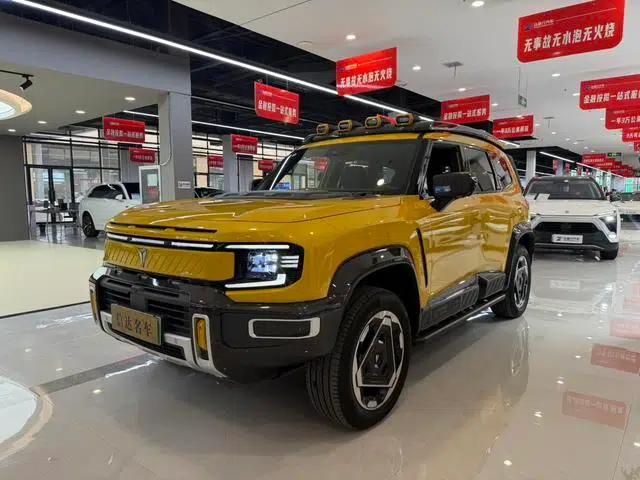 Deep Blue G318 2025 Worry-Free Crossing Edition 4WD Secret Realm Edition