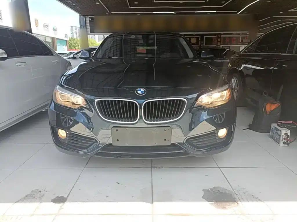 BMW 2 Series (Imported) 2015 218i — миниатюра 3