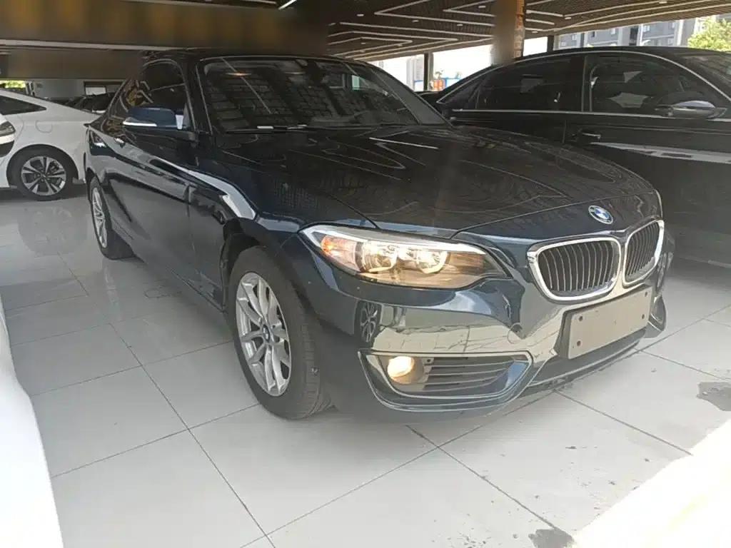 BMW 2 Series (Imported) 2015 218i — миниатюра 4