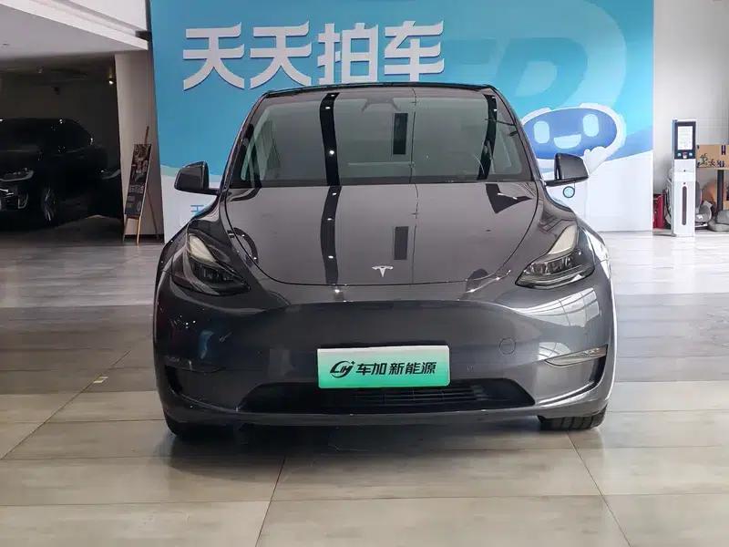 Model Y 2021 Long Range All-Wheel Drive — миниатюра 2