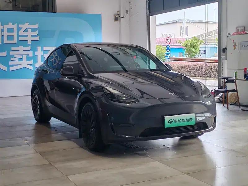 Model Y 2021 Long Range All-Wheel Drive — миниатюра 3