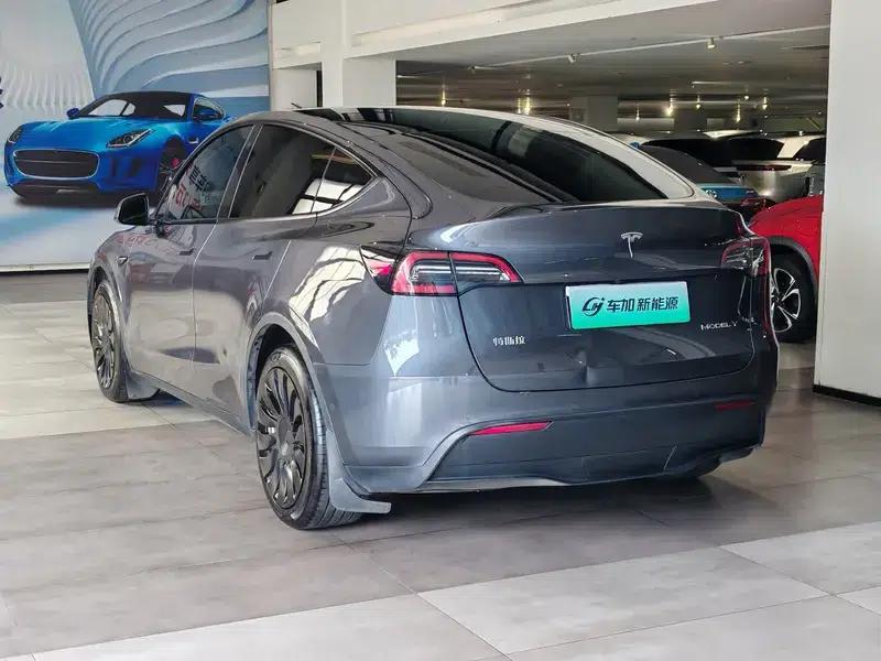 Model Y 2021 Long Range All-Wheel Drive — миниатюра 4