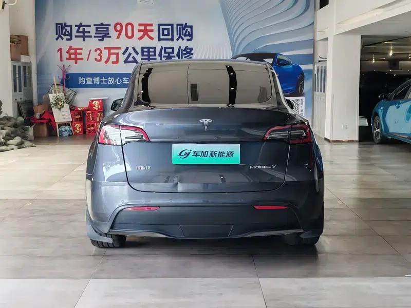 Model Y 2021 Long Range All-Wheel Drive — миниатюра 5