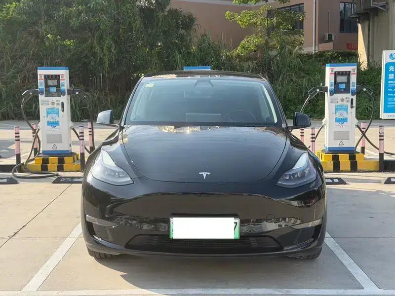 Model Y 2022 Long Range All-Wheel Drive — миниатюра 2