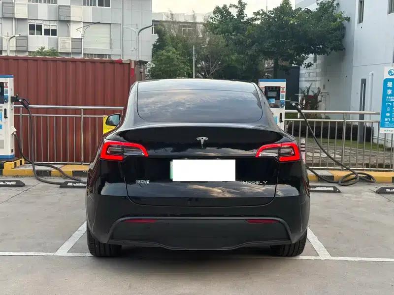Model Y 2022 Long Range All-Wheel Drive — миниатюра 5