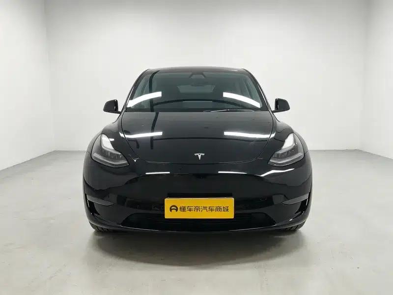 Model Y 2021 Standard Range Rear-Wheel Drive — миниатюра 2