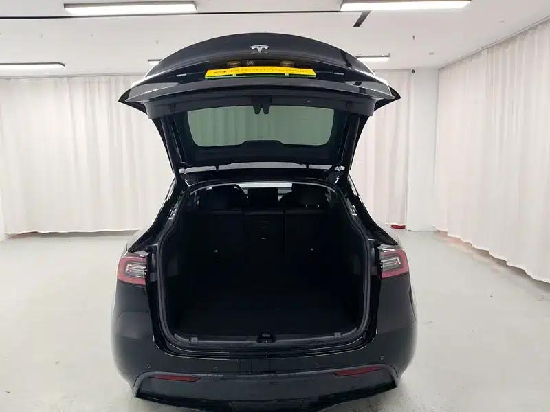 Model Y 2021 Standard Range Rear-Wheel Drive — миниатюра 20