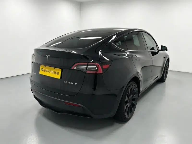 Model Y 2021 Standard Range Rear-Wheel Drive — миниатюра 7