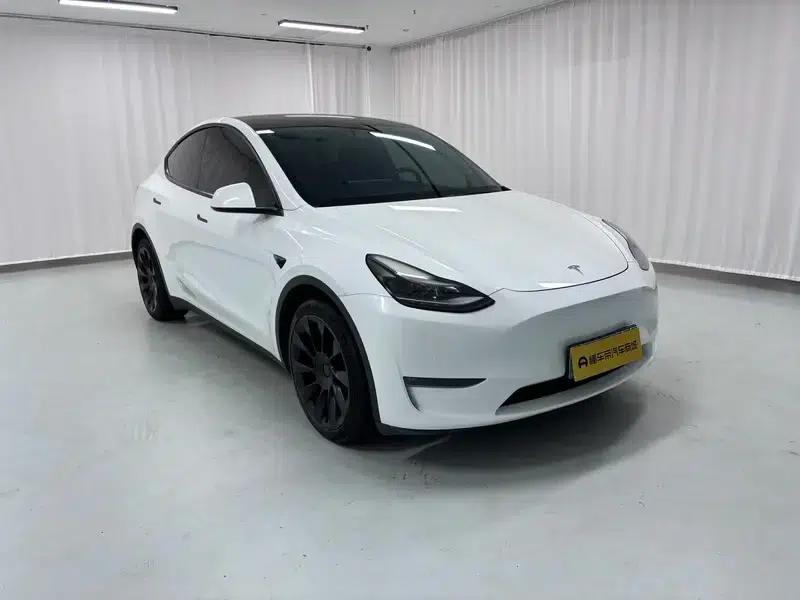 Model Y 2021 Long Range All-Wheel Drive — миниатюра 3