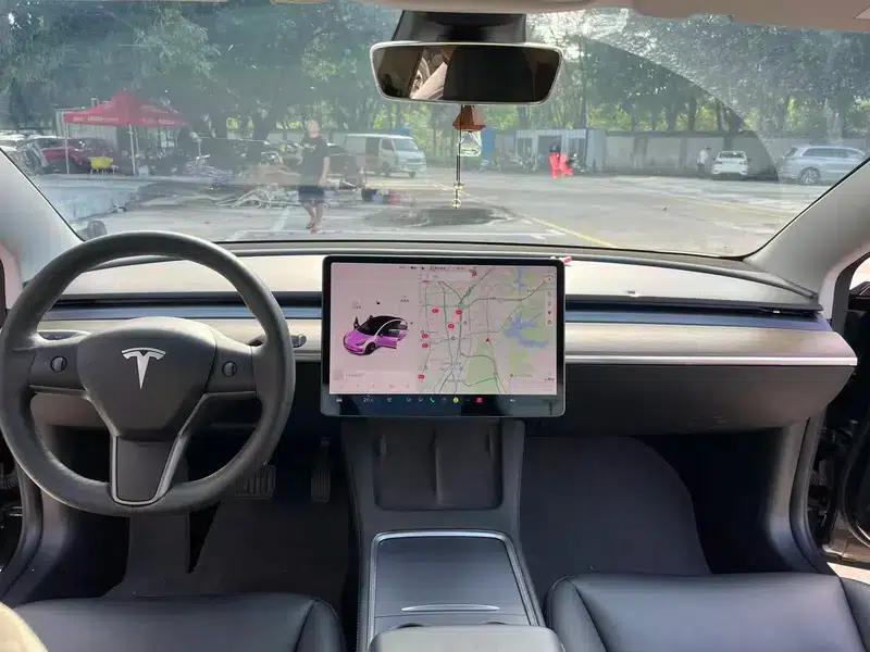 Model 3 2021 Standard Range Rear-Wheel Drive Upgrade — миниатюра 7