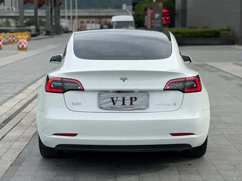 Model 3 2020 Facelift Standard Range Rear-Wheel Drive Upgrade — миниатюра 5