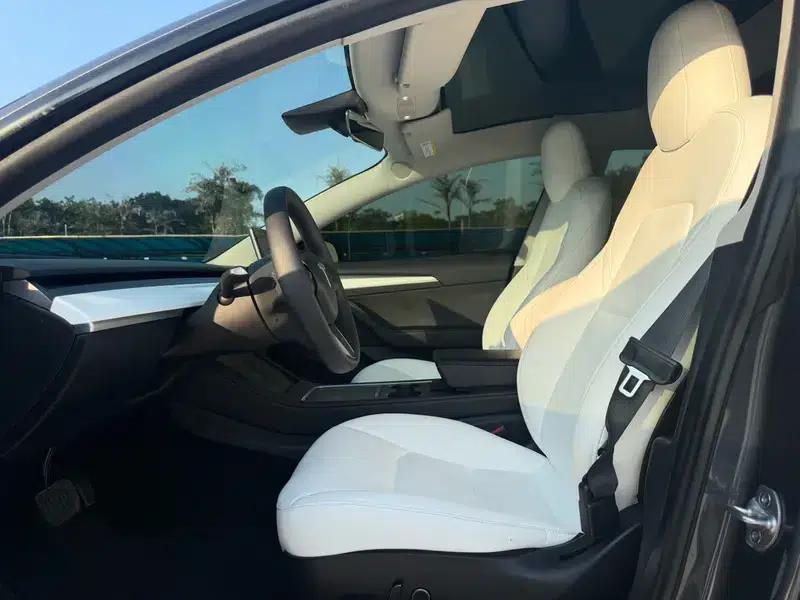 Model 3 2022 Rear-Wheel Drive — миниатюра 15