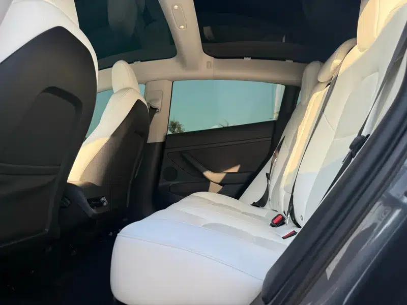 Model 3 2022 Rear-Wheel Drive — миниатюра 16