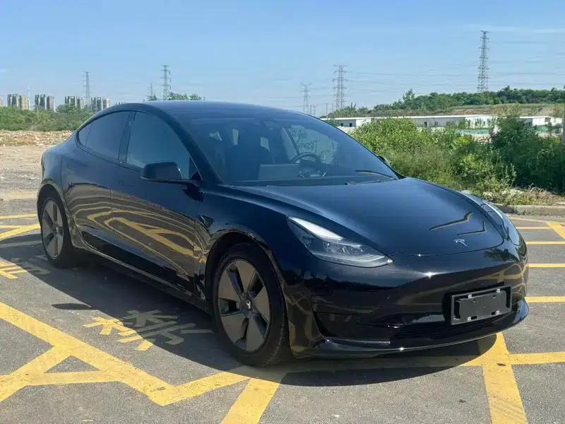 Model 3 2021 Standard Range Rear-Wheel Drive Upgrade 3D6 — миниатюра 3