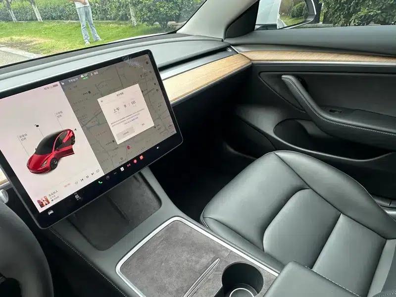 Model 3 2021 Standard Range Rear-Wheel Drive Upgrade — миниатюра 8