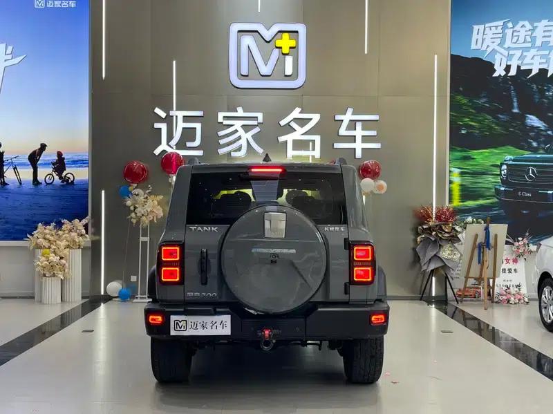 Tank 300 2023 Off-Road Edition 2.0T Conqueror — миниатюра 5