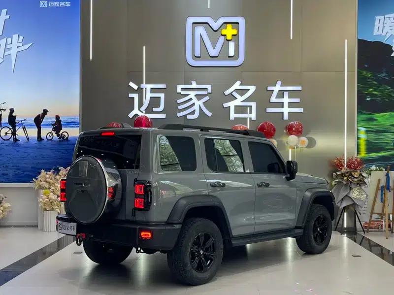 Tank 300 2023 Off-Road Edition 2.0T Conqueror — миниатюра 6