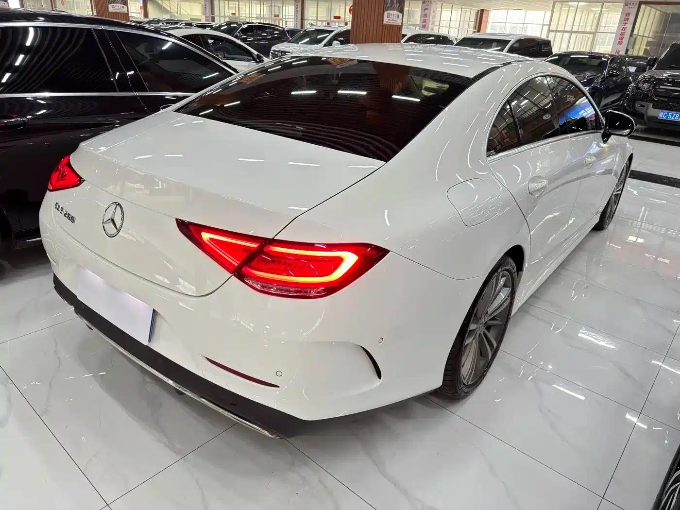 Mercedes-Benz CLS 2022 CLS 260 — миниатюра 7