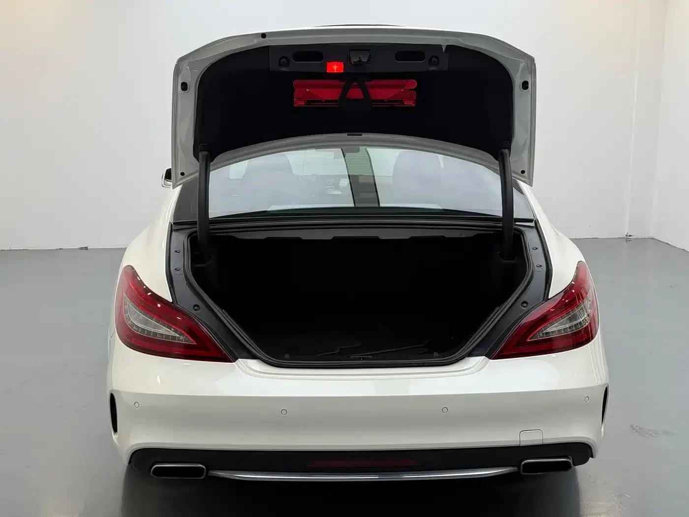 2015 Mercedes-Benz CLS 320 — миниатюра 8