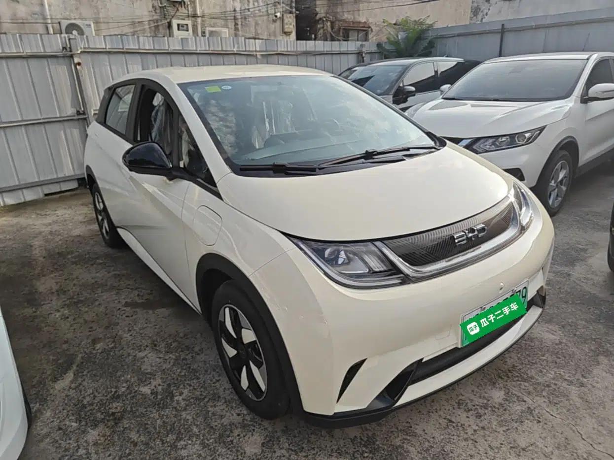 BYD Dolphin 2025 420km Free Edition — миниатюра 3