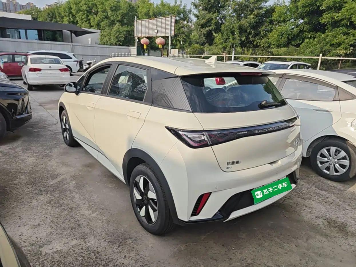 BYD Dolphin 2025 420km Free Edition — миниатюра 4