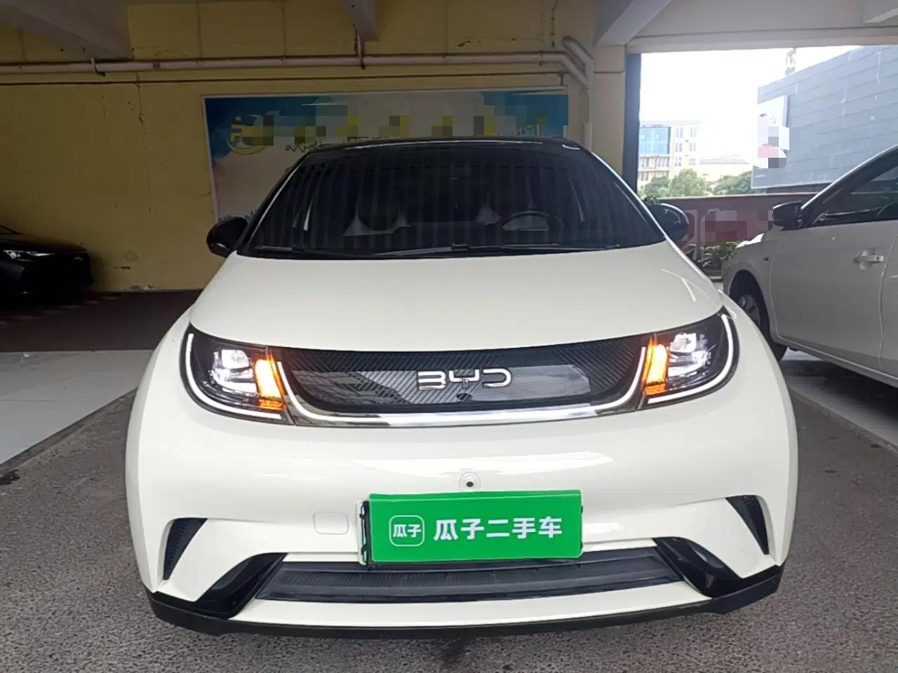 BYD Dolphin 2024 Honor Edition 420km Freedom Version — миниатюра 2