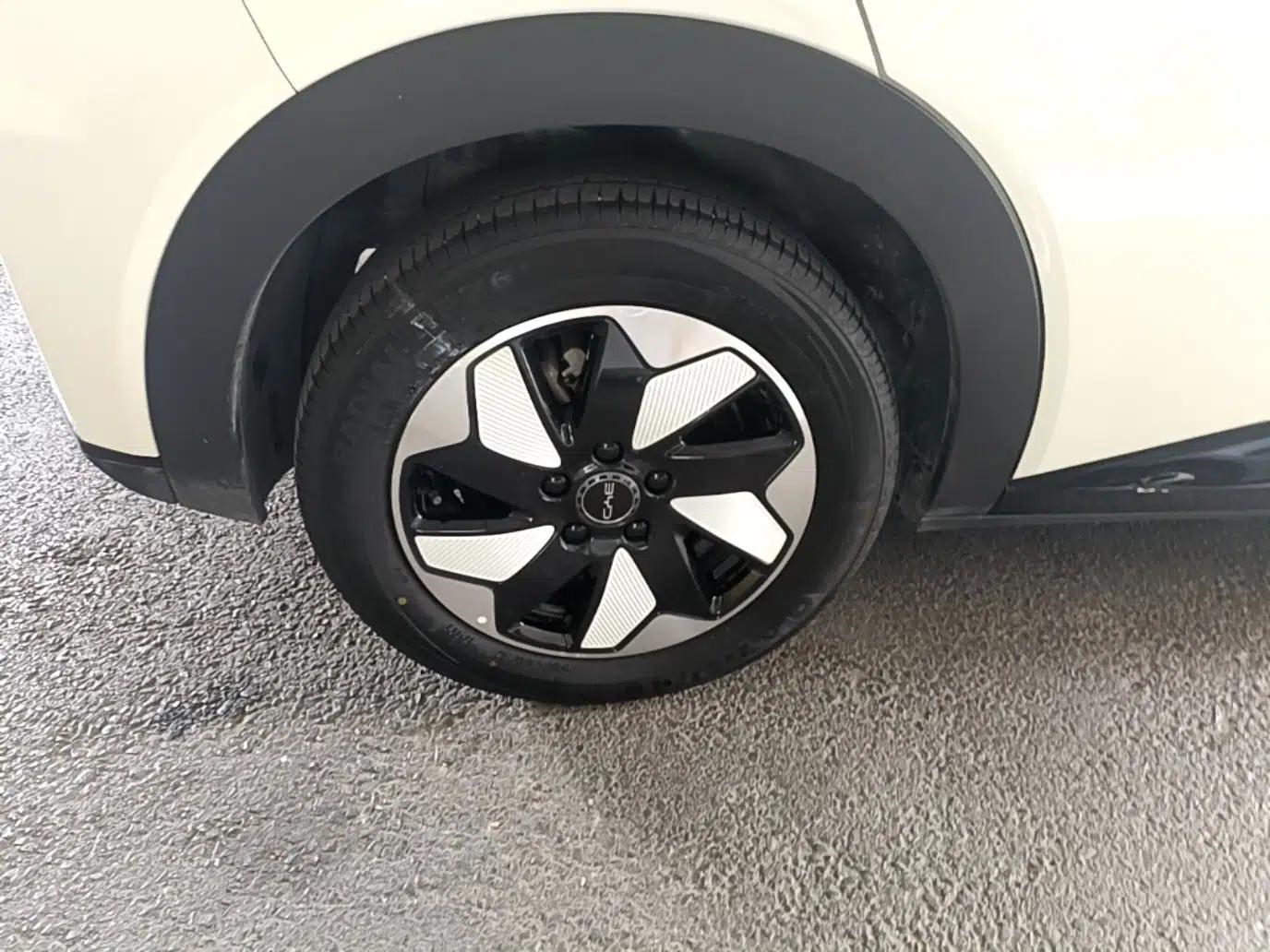 BYD Dolphin 2024 Honor Edition 420km Freedom Version — миниатюра 11
