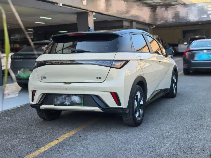 BYD Dolphin 2024 Honor Edition 420km Freedom Version — миниатюра 14