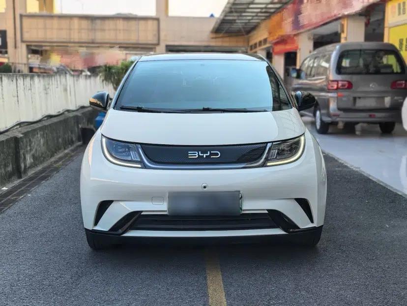 BYD Dolphin 2024 Honor Edition 420km Freedom Version — миниатюра 16