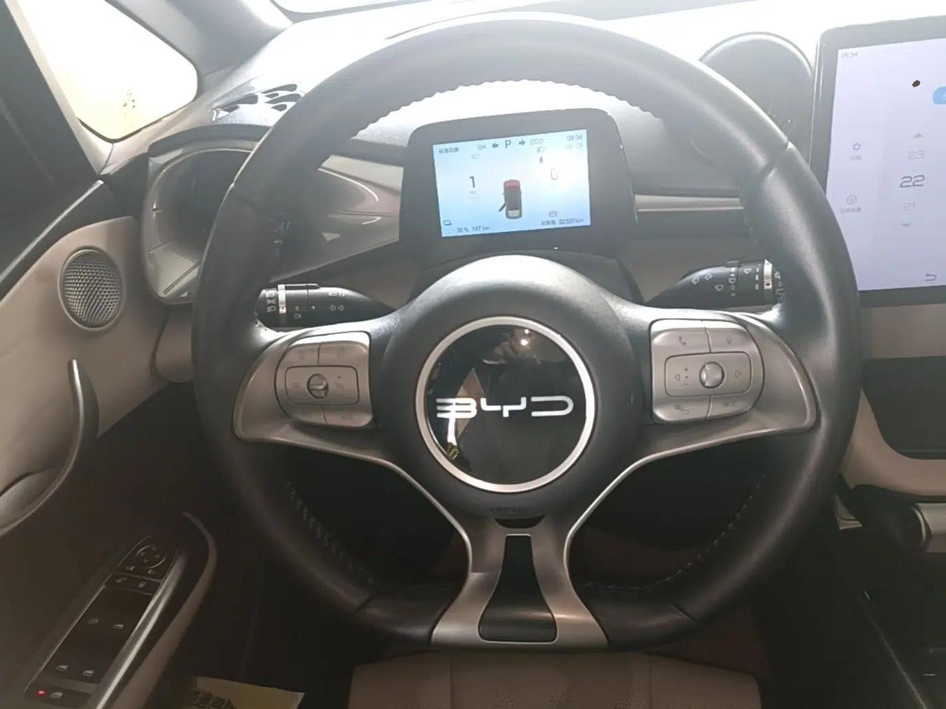 BYD Dolphin 2024 Honor Edition 420km Freedom Version — миниатюра 19