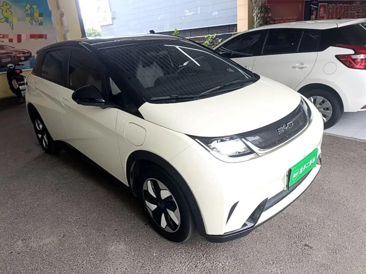 BYD Dolphin 2024 Honor Edition 420km Freedom Version — миниатюра 3