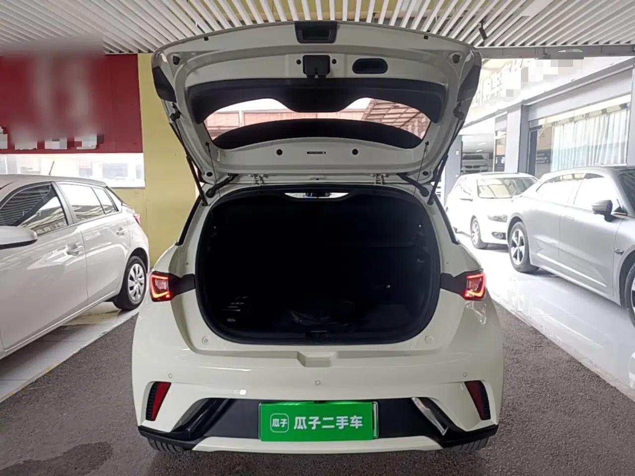 BYD Dolphin 2024 Honor Edition 420km Freedom Version — миниатюра 28
