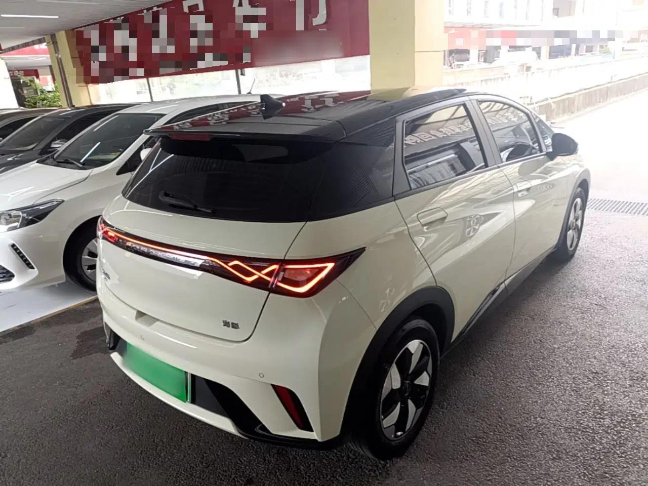 BYD Dolphin 2024 Honor Edition 420km Freedom Version — миниатюра 6