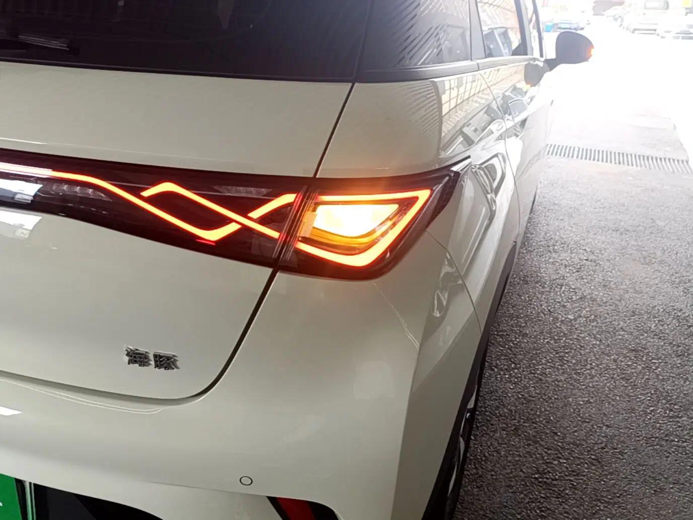 BYD Dolphin 2024 Honor Edition 420km Freedom Version — миниатюра 9