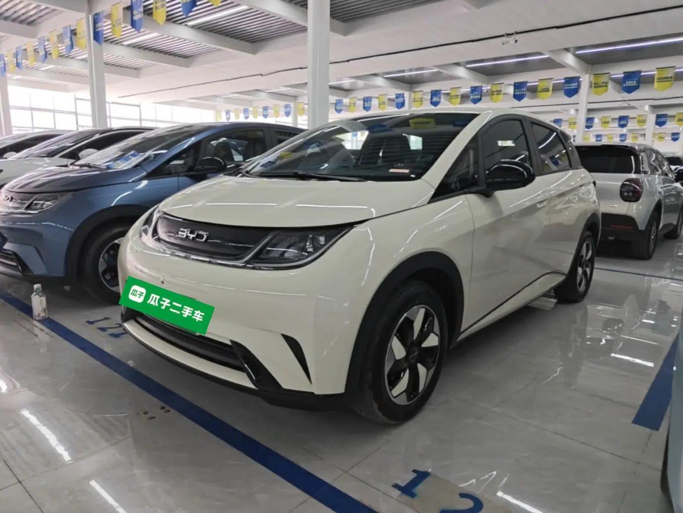 BYD Dolphin 2025 420km Free Edition — миниатюра 1