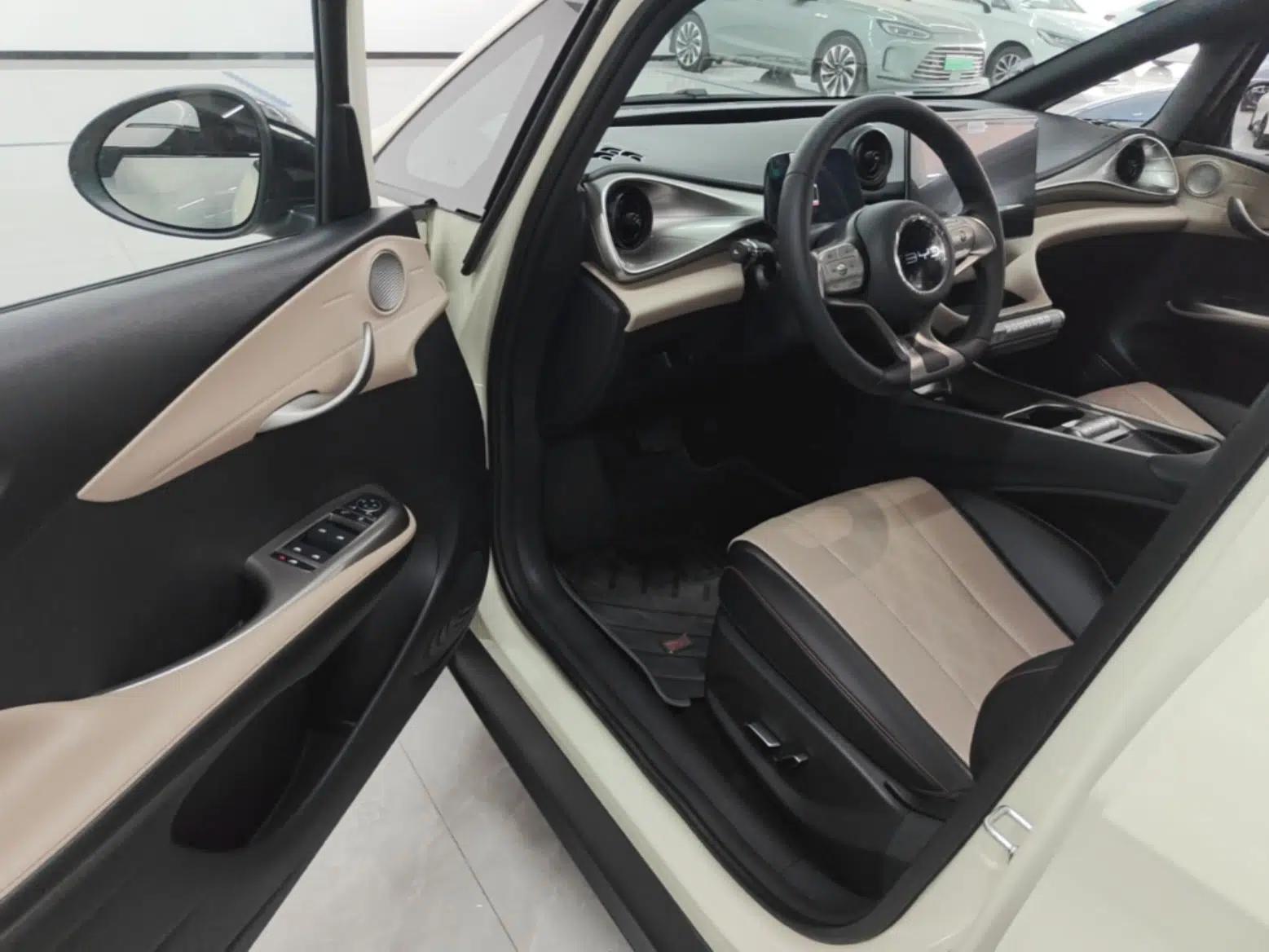 BYD Dolphin 2025 420km Free Edition — миниатюра 18