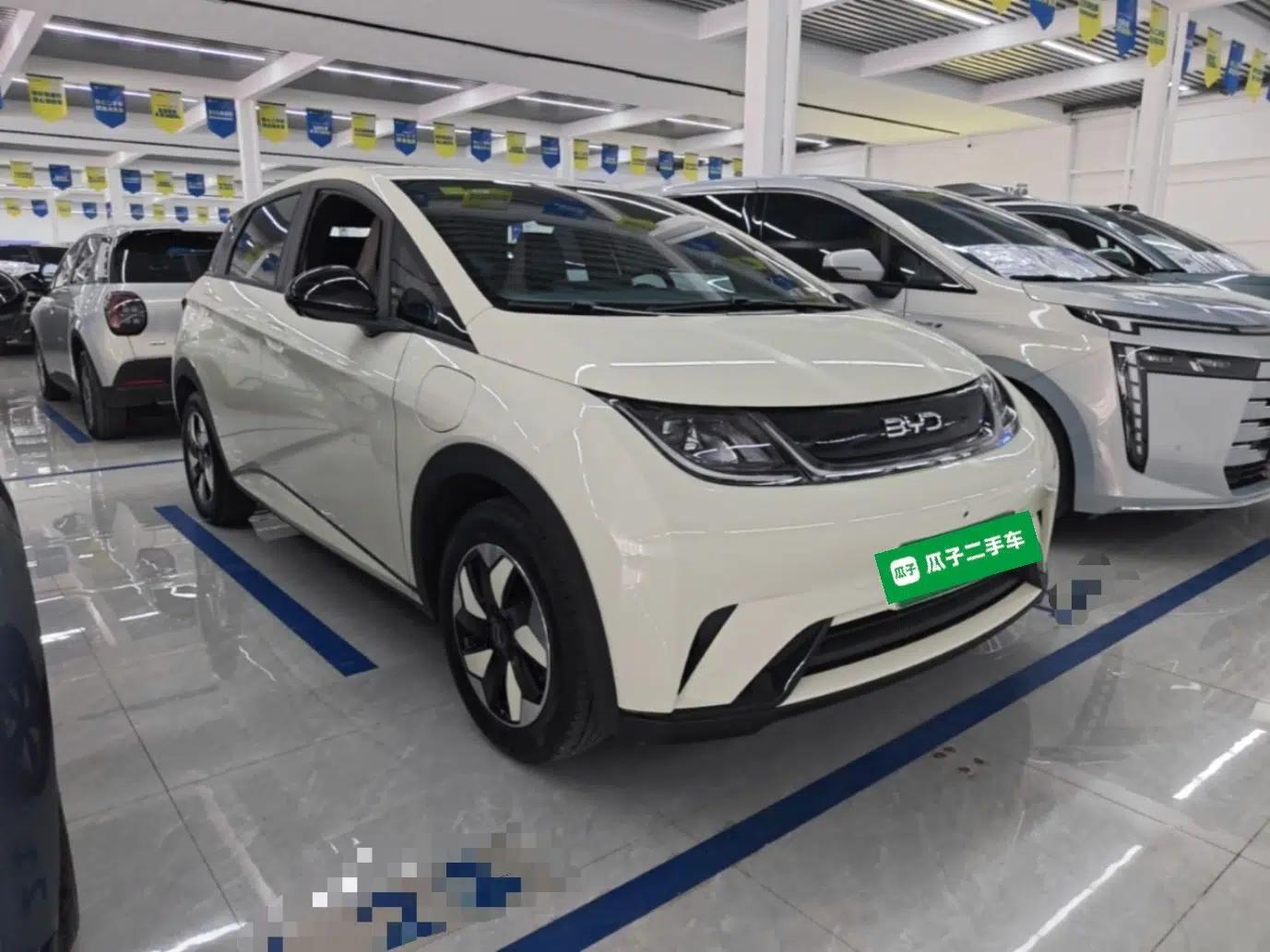 BYD Dolphin 2025 420km Free Edition — миниатюра 3