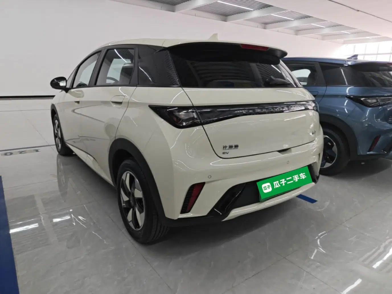 BYD Dolphin 2025 420km Free Edition — миниатюра 4