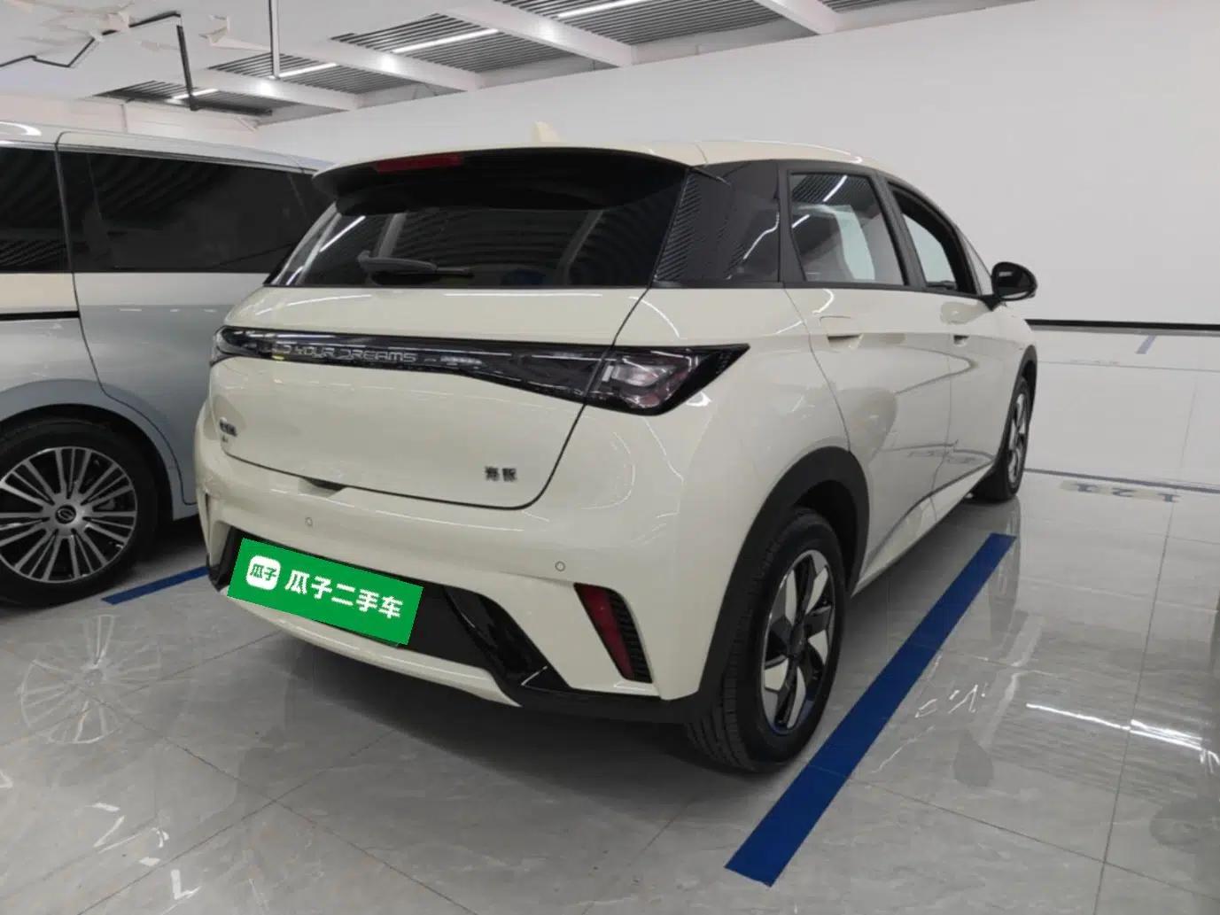 BYD Dolphin 2025 420km Free Edition — миниатюра 6